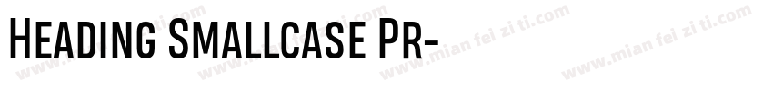 Heading Smallcase Pr字体转换